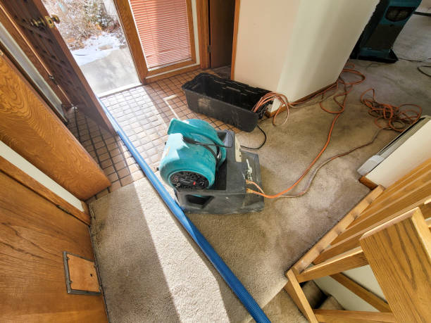 Mold Remediation in San Marcos Trust SERVPRO